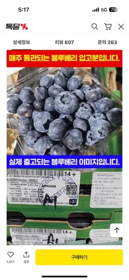 블루베리 125g 5팩