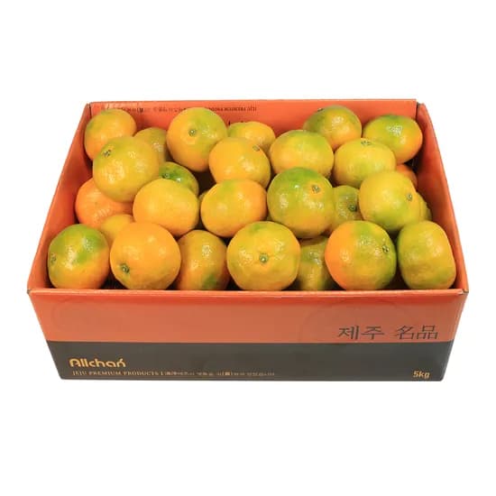 제주 노지 감귤 5kg