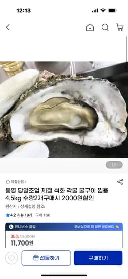 통영 당일조업 제철 석화 각굴 굴구이 찜용 4.5kg