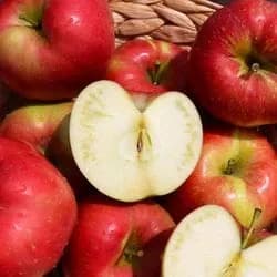 경북 햇 부사사과 가정용 1.5kg 8-9과