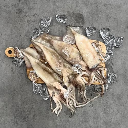 원양산 손질 통오징어 260g (2미 x 5팩 - 총 10미)