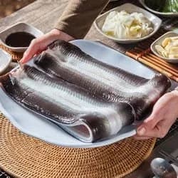 자포니카 민물장어 손질 후 600g~650g 소스 생강채