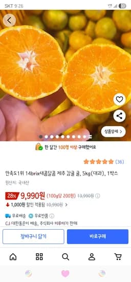 제주 감귤 대과 5kg