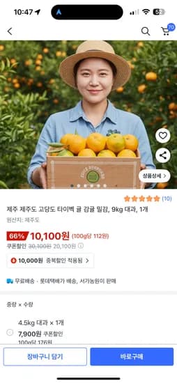 제주 타이벡 감귤 대과 9kg