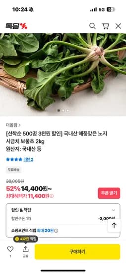 더올림 해풍맞은 국내산 노지 시금치 보물초 2kg