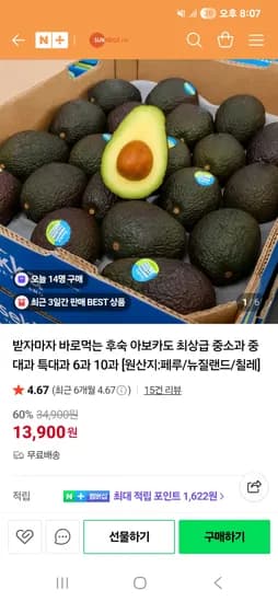 바로먹는 후숙 아보카도 8과