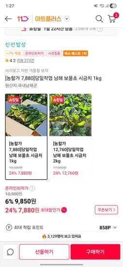 남해 보물초 시금치 1kg