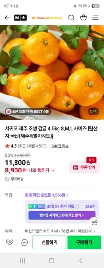 팀커머스 서귀포 제주조생감귤 M-L 4.5kg