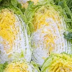 해남 명품 절임배추 20kg