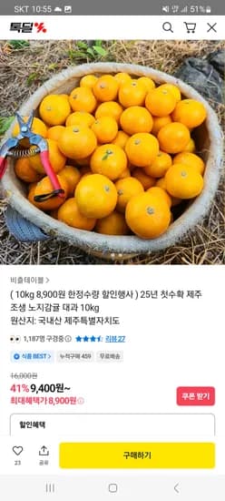 조생귤 대과 10kg