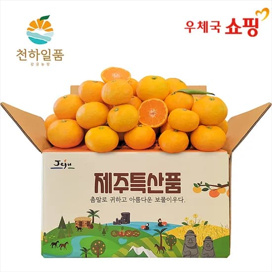 로얄과 노지조생 감귤 4.5kg