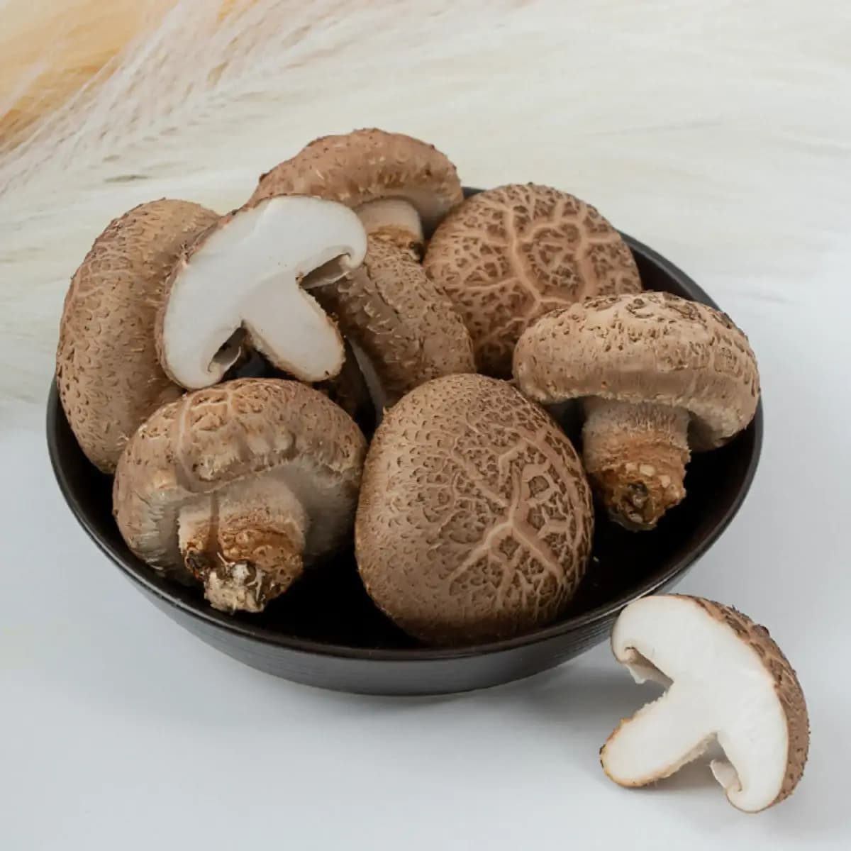 문경 표고버섯 1kg