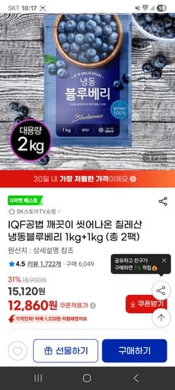 칠레산 냉동블루베리 1kg+1kg