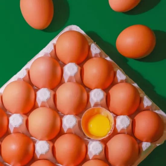 자연방사 유정란 40구 난각번호1번