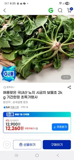 해풍맞은 시금치 보물초 2kg