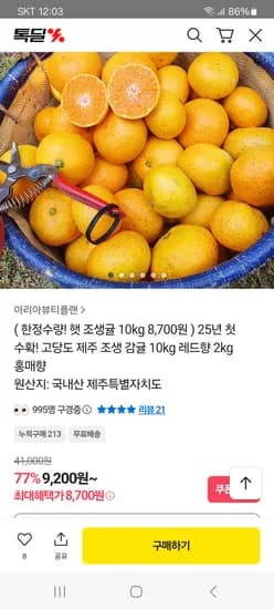 조생귤 대과 10kg