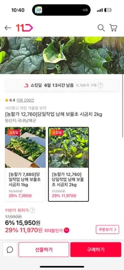남해보물초 시금치 2kg