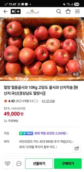 얼음골신씨농장 밀양 얼음골사과 10kg