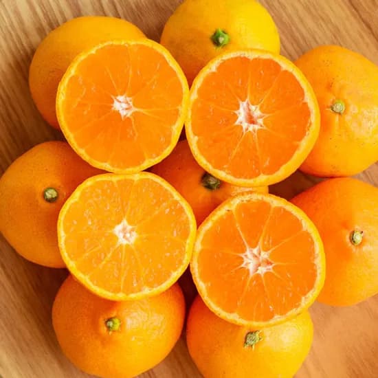 제주 저농약 타이벡 조생감귤 4.5kg (2S-M)