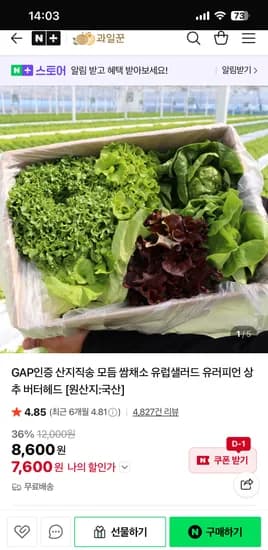 과일꾼 모듬 쌈채소 1kg 4-8종