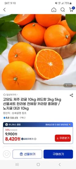 햇 조생귤 대과 10kg 8,420원 무배