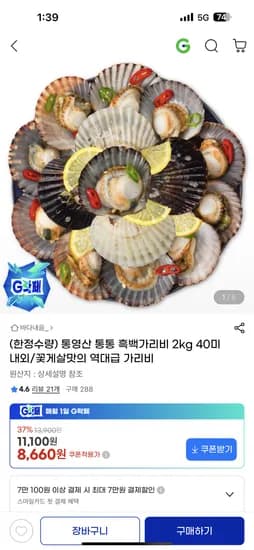 통영산 활 흑백가리비 2kg 40미 내외