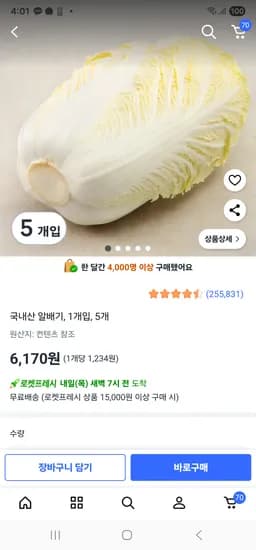 알배추 5개
