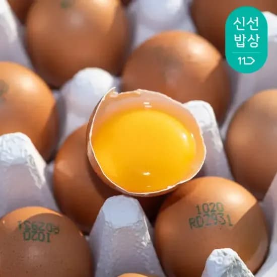 난각번호 1번 무항생제 유정란 20구 3판 총60구