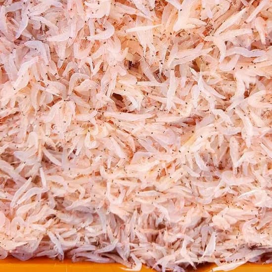 국내산 김장용 급냉 생새우 1kg