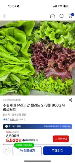유러피안 샐러드 800g