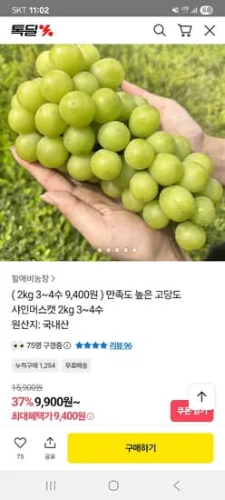 샤인머스켓 2kg (3-4수)