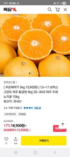 제주 황금향 5kg
