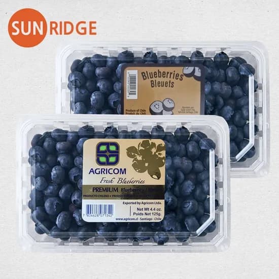 칠레산 생 블루베리 310g 2팩