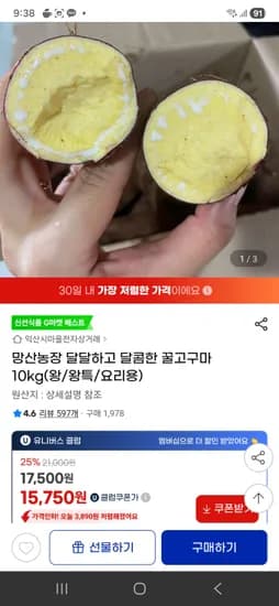 꿀고구마 10kg 왕 왕특 요리용