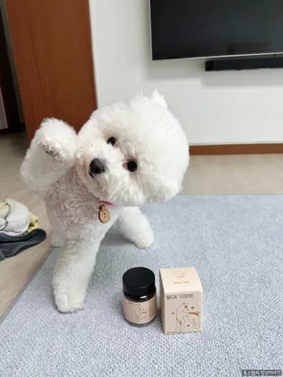 디어랩스 울애기쌩쌩 쌩쌩세트 1통