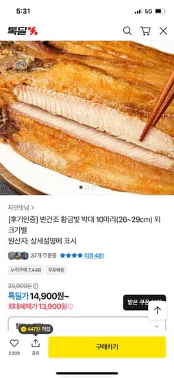 반건조 박대 10마리 26~29cm