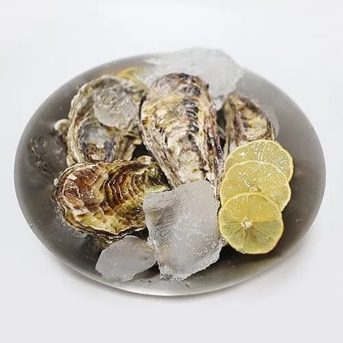 통영 각굴 석화 5kg