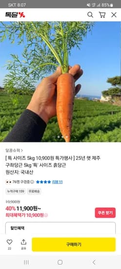 제주 햇 구좌당근 특 5kg
