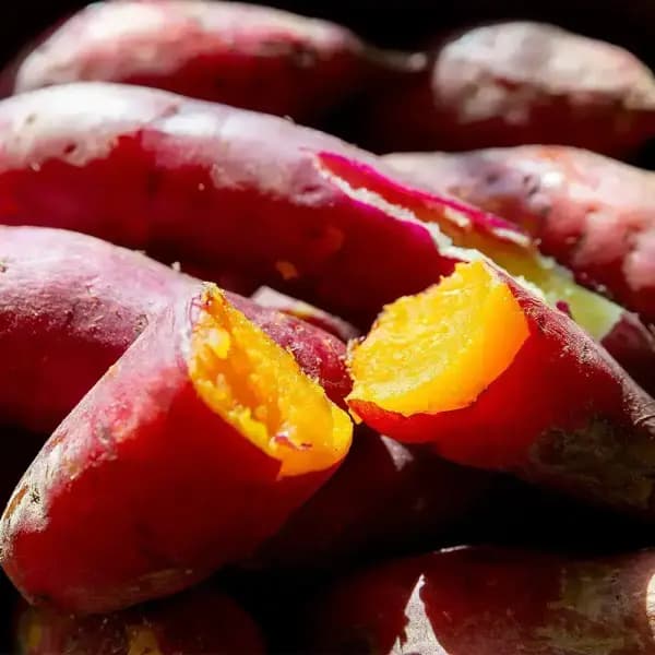 해남 베니하루카 꿀밤고구마 특상 2kg 6,670원 / 3kg 8,750원