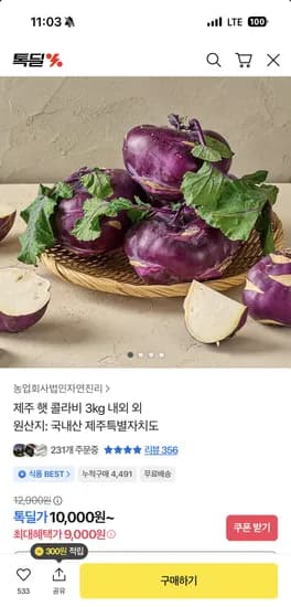 제주 햇 콜라비 3kg