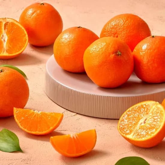 25년 오렌지귤 고당도 제주 홍매향 1kg