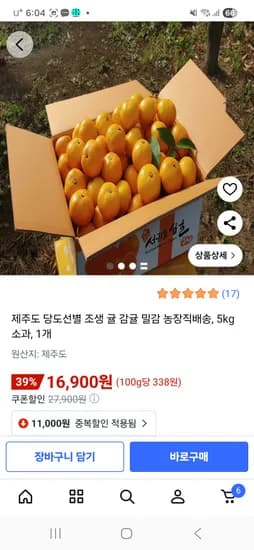 제주 노지감귤 소과 5kg 외 다양