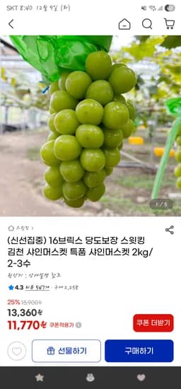스윗킹 김천 샤인머스켓 특품 2kg (2-3수)