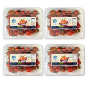 스테비아 방울토마토 500g 4팩 (2kg)