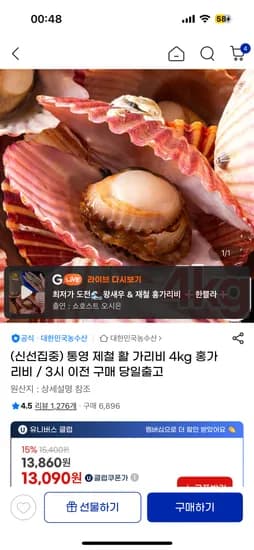 통영 제철 활 홍가리비 4kg
