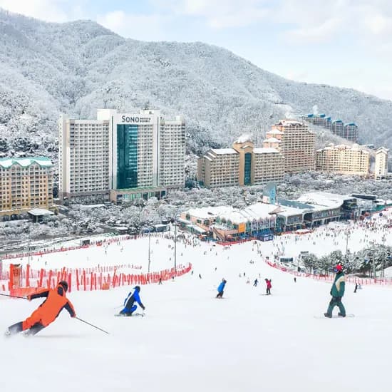 비발디파크 리프트 장비렌탈 패키지 오션월드 종일권