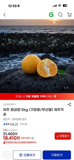 제주직송 황금향 5kg