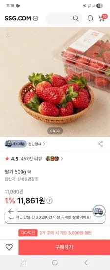 딸기 500g*2 12,907원
