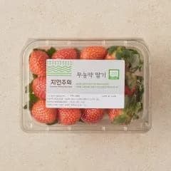 딸기 500g