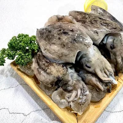 태안 신진도 제철 생물 갑오징어 1kg 3-6미